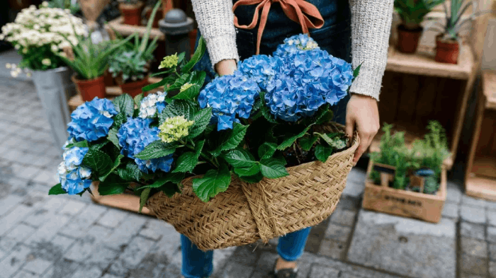 Hochzeitsgeschenk Ideen Blumen