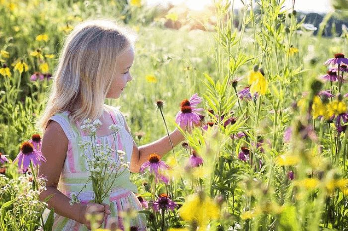 Garten Mensch